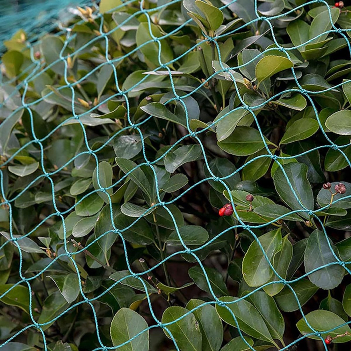 Beschermingsnet Tuinplanten - Volièregaas Moestuin - Bescherming Tegen Ongedierte - Nylon Mesh Weerbestendig - 4 x 10 Meter - Groen
