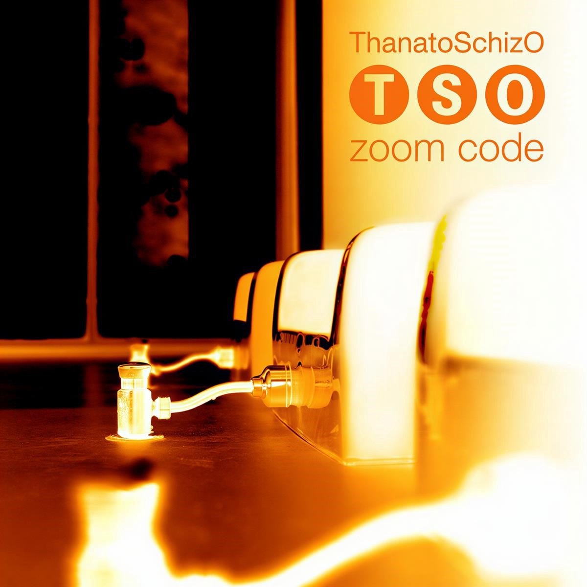 ThanatoSchizO - Zoom Code (CD)