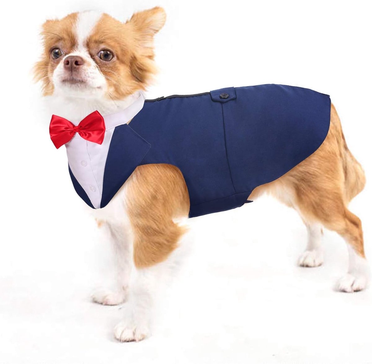 Formele Hondenoutfit met Strikje voor Bruiloften en Feestjes - Verstelbaar Kostuum voor Puppy (Blauw, S)