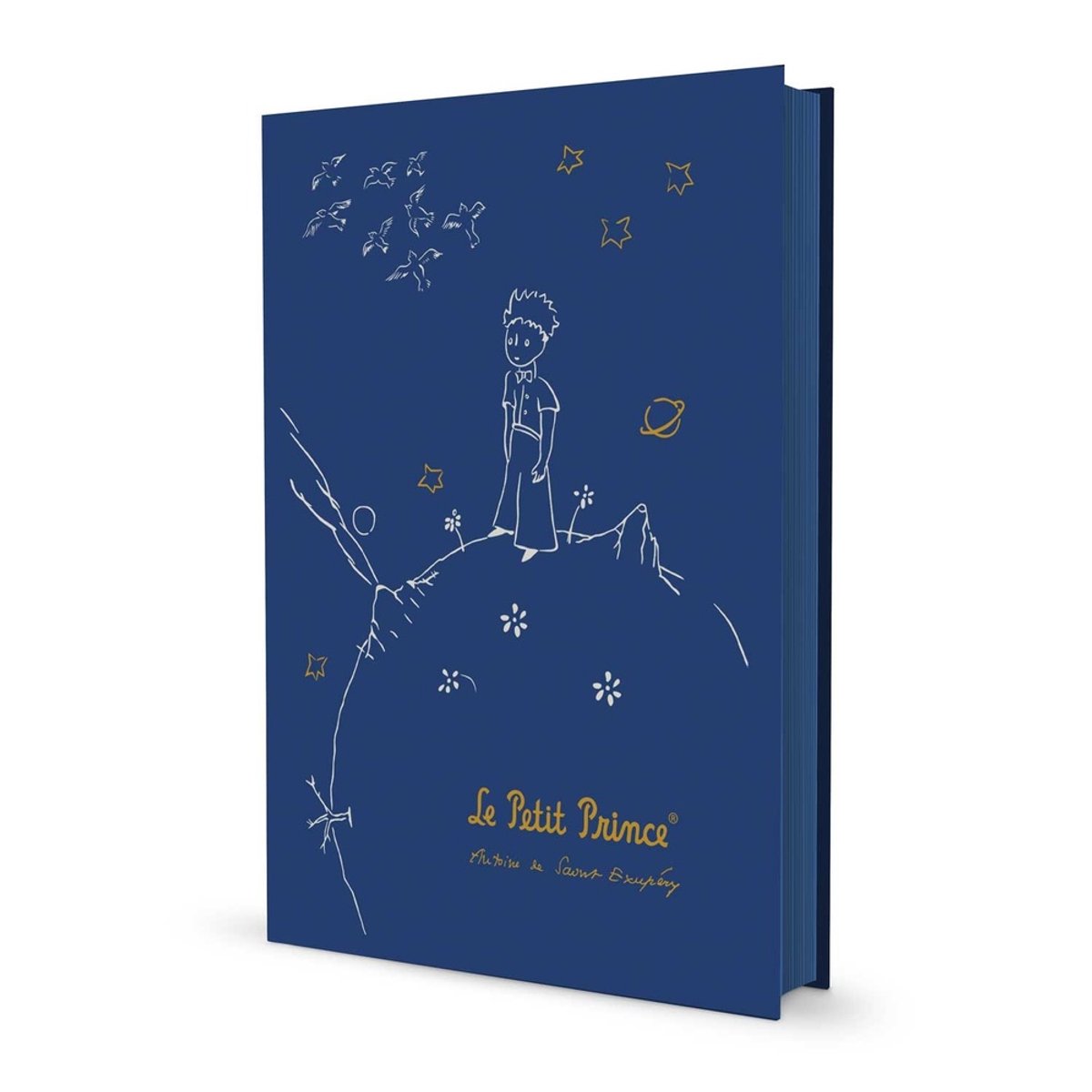 Grupo Erik Le Petit Prince - The Little Prince Premium A5 Notitieboek - Multicolours