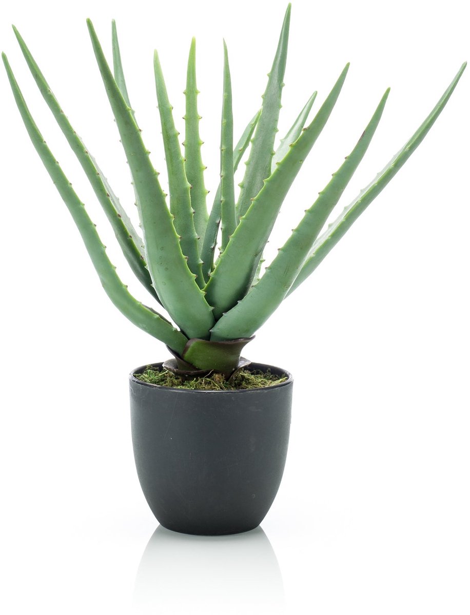 Emerald Kunstplant in pot Aloe Vera 35cm - Kunstplant voor binnen Groen