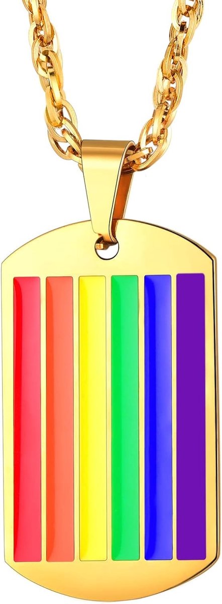 Kleurrijke LGBT Gay Pride Ketting met Hangertje van Roestvrijstaal voor Mannen en Vrouwen - 56 cm Lange Zwarte Keten met 18K Gouden Plating