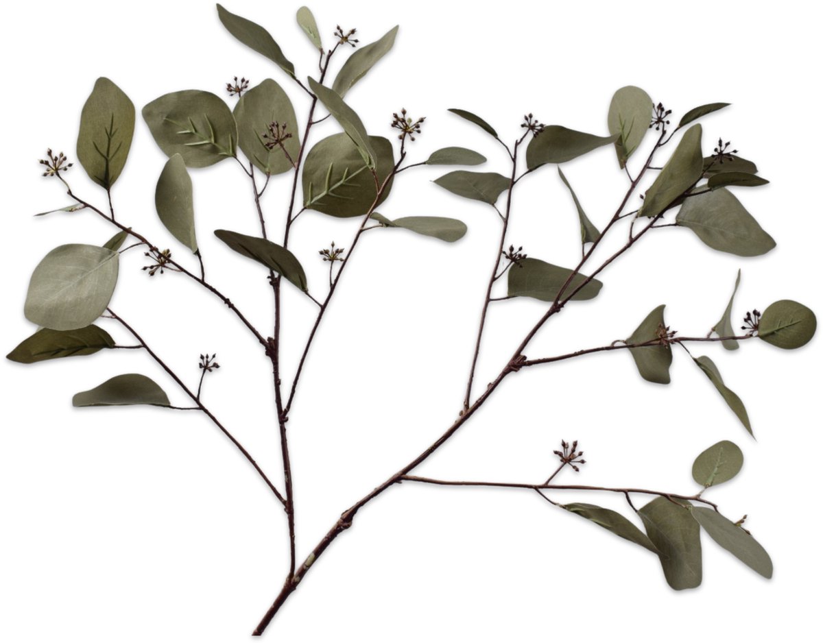 Silk-ka Kunstbloem-Zijden Bloem Eucalyptus Tak Groen-Grijs 94 cm