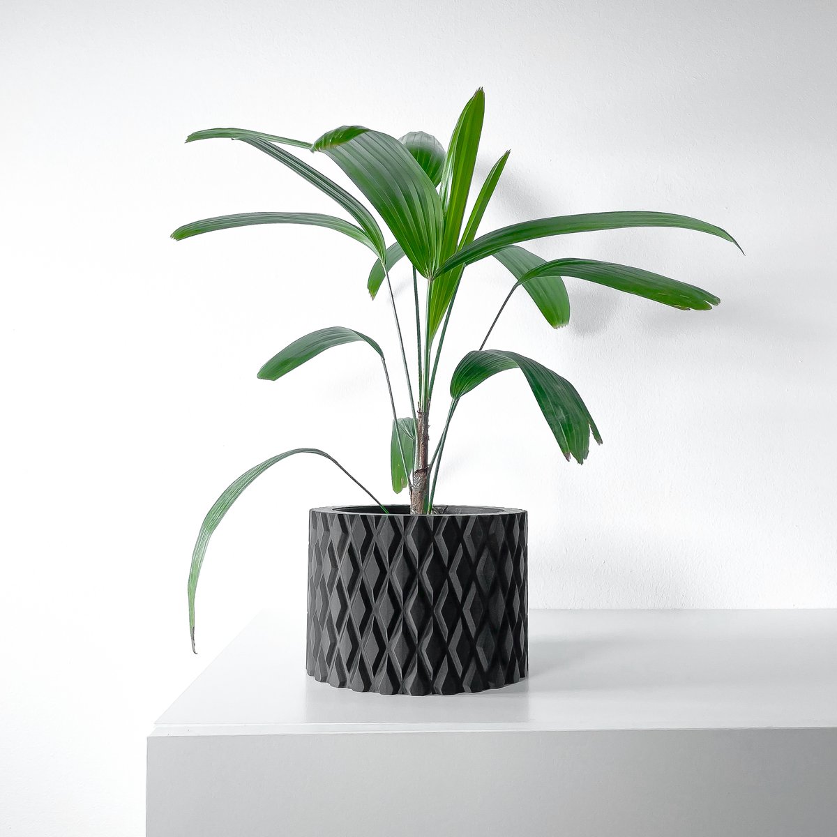 Skushy Pexil Bloempot - Moderne Designpot voor Kamerplanten - Sculpturale Plantenpot voor Woonkamer en Kantoor - Premium Woondecoratie