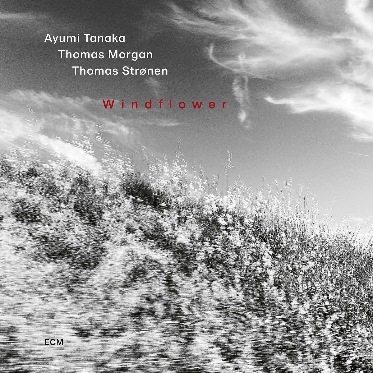 Ayumi Tanaka, Thomas Morgan, Thomas Stronen - Windflower (CD)