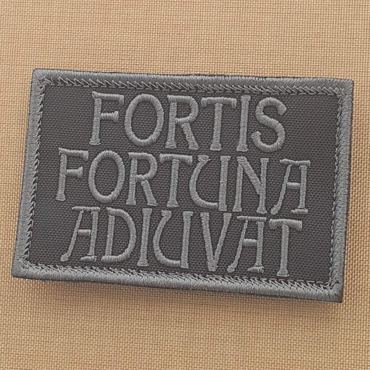 Ingetogen Fortis Fortuna Adiuvat 2x3.25 John Wick Blackout Moraal Tactische Militaire Haak-en-Loop Patch