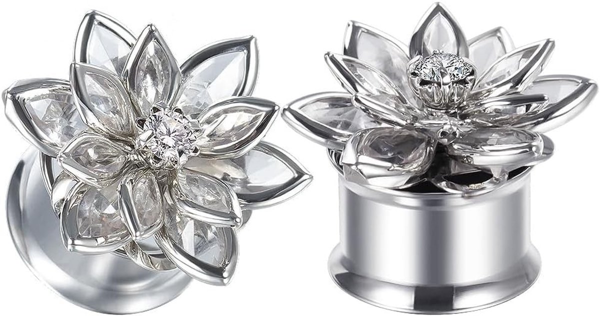 Stainless steel oor tunnels met schroefsluiting, gouden kompas plugs en stretchers voor oorvergroting