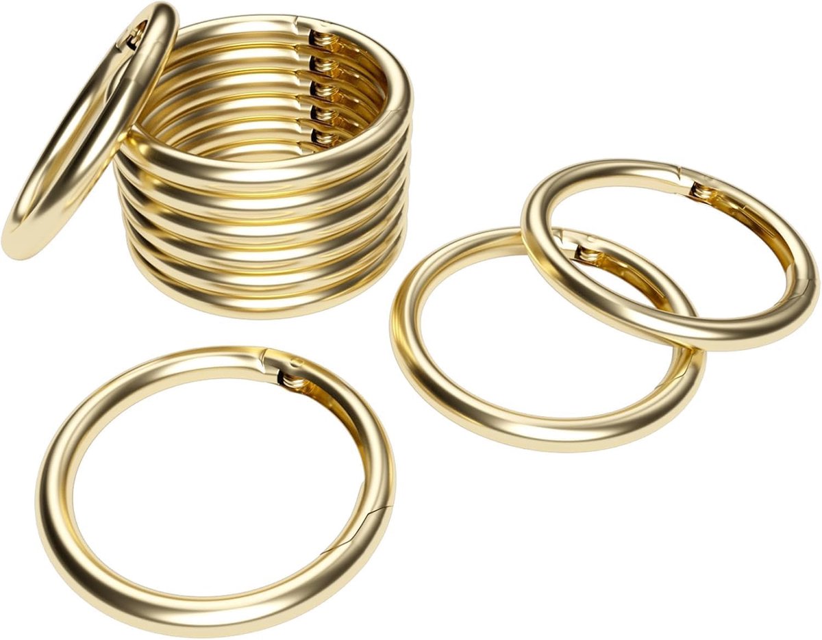 SnelShoppen - 10 Stuks 1 Inch Metalen Veer O-Ringen Sleutelhangers, Ronde Karabijnhaak Clips Sleutelhangers voor Sleutels, Portemonnee, Tas, Handtas,