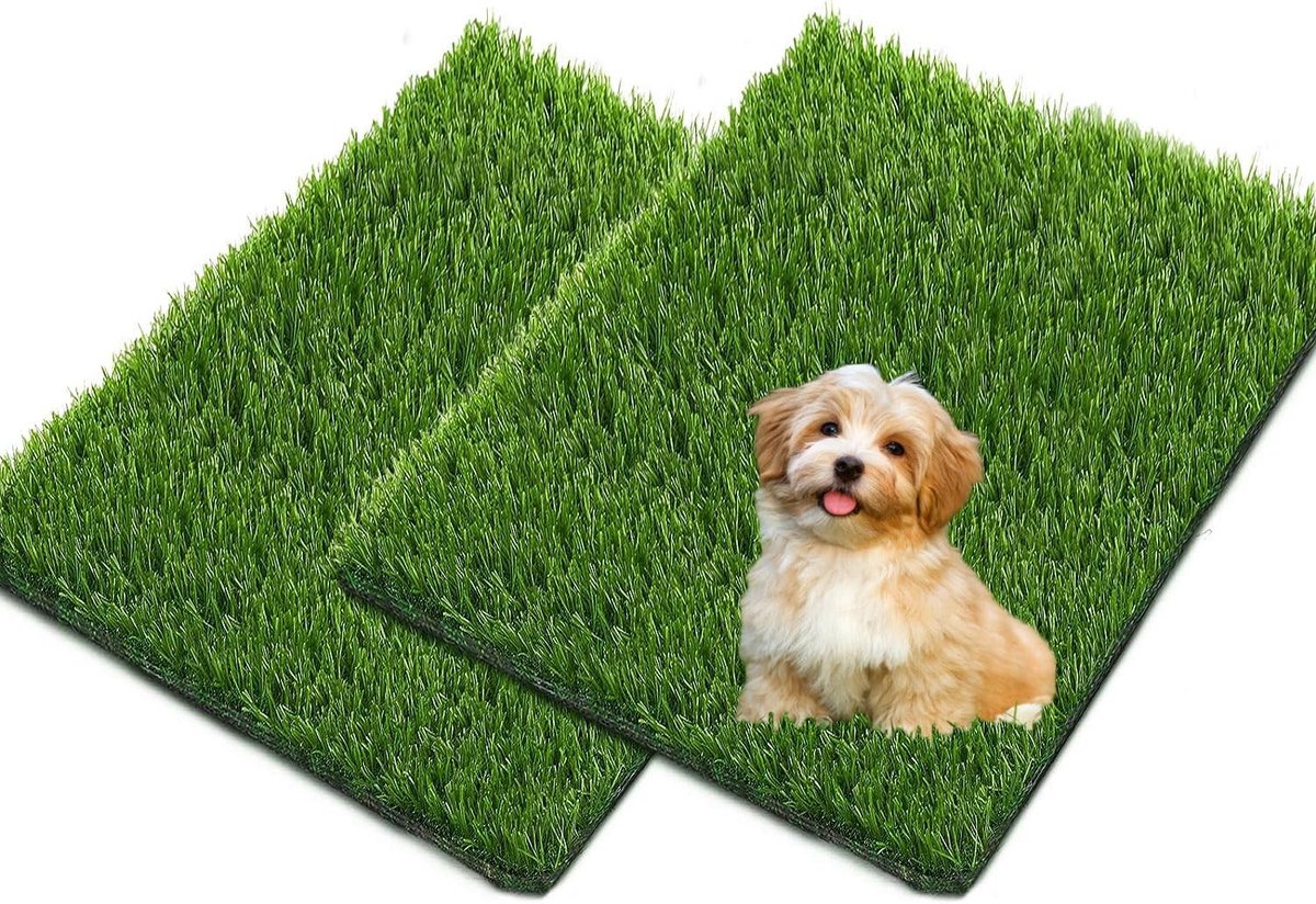 Omgoods - Kunstgras voor Huisdieren en Tuin, Set van 2 Matten