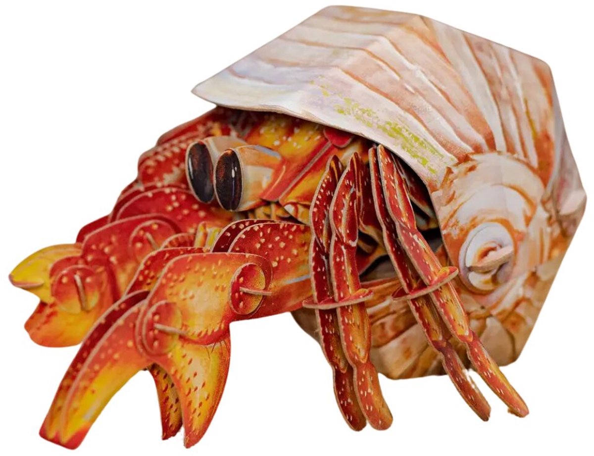 MakeBug, 3D Modelbouwpakket, Hermit Crab/Hermietkreeft, MB-B-0008, 18x9x8cm