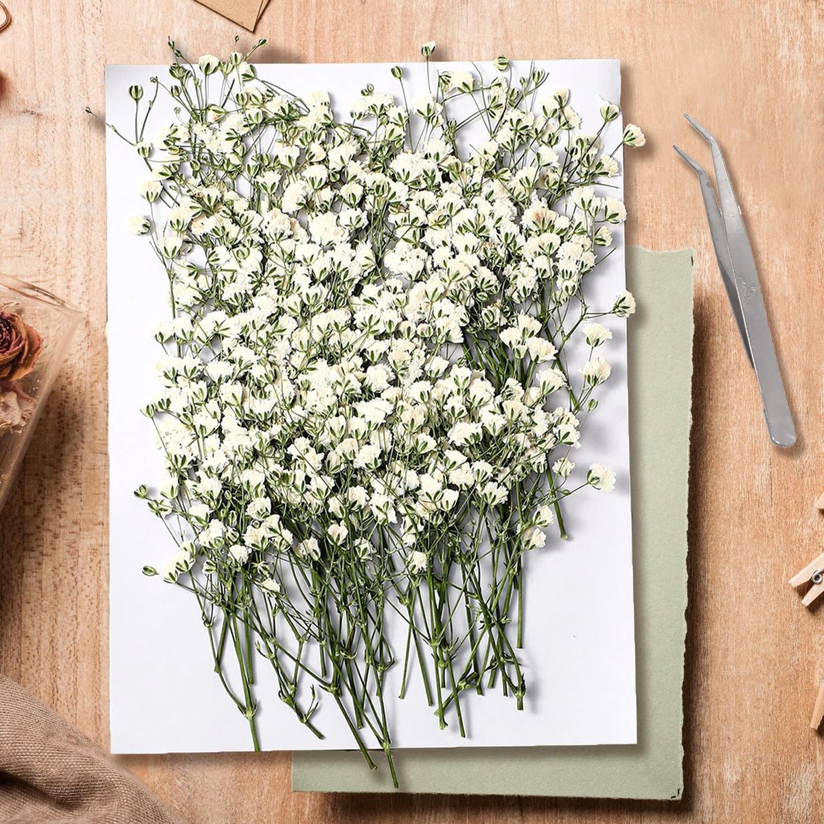 Omgoods - Set van 150 Drogen Gypsophila Bloemen voor Creatief Gebruik