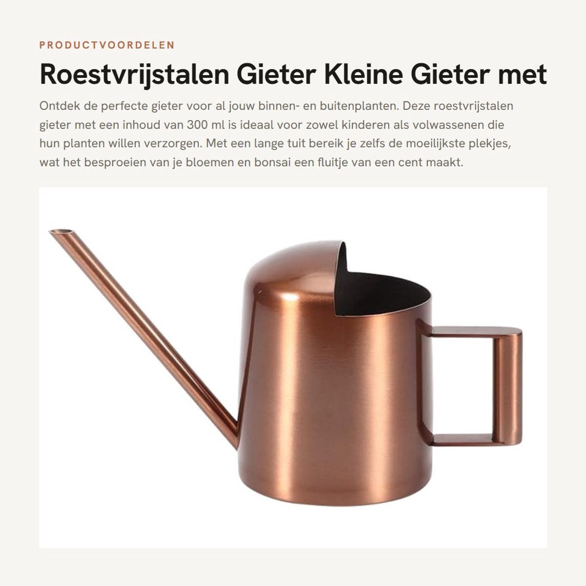 Inovra- Gieter 300 ml - Roestvrijstalen Gieter - Gieter met lange tuit - Gieter voor binnen/buiten - Kindergieter - Ergonomisch ontwerp - Plantenbewateringscan