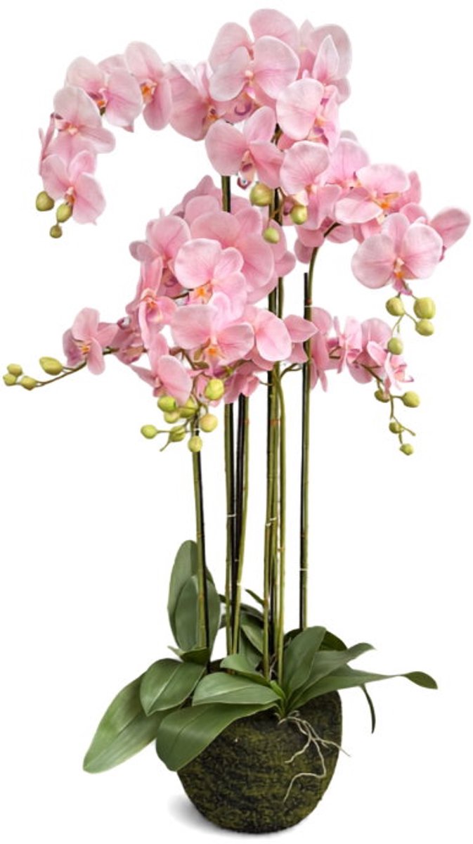 Orchidee new pink in pot H 120 cm kunstplant Oosterik Home