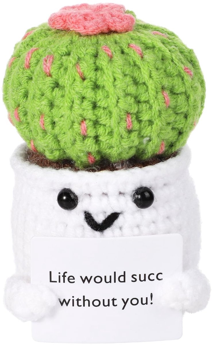 Dailygoods- Cactus Gehaakt Speelgoed - Positieve Cadeau Decoratie - Plantpot met Aanmoedigingskaart - Wolgaren - 8,5 x 5,5 cm - Duurzaam
