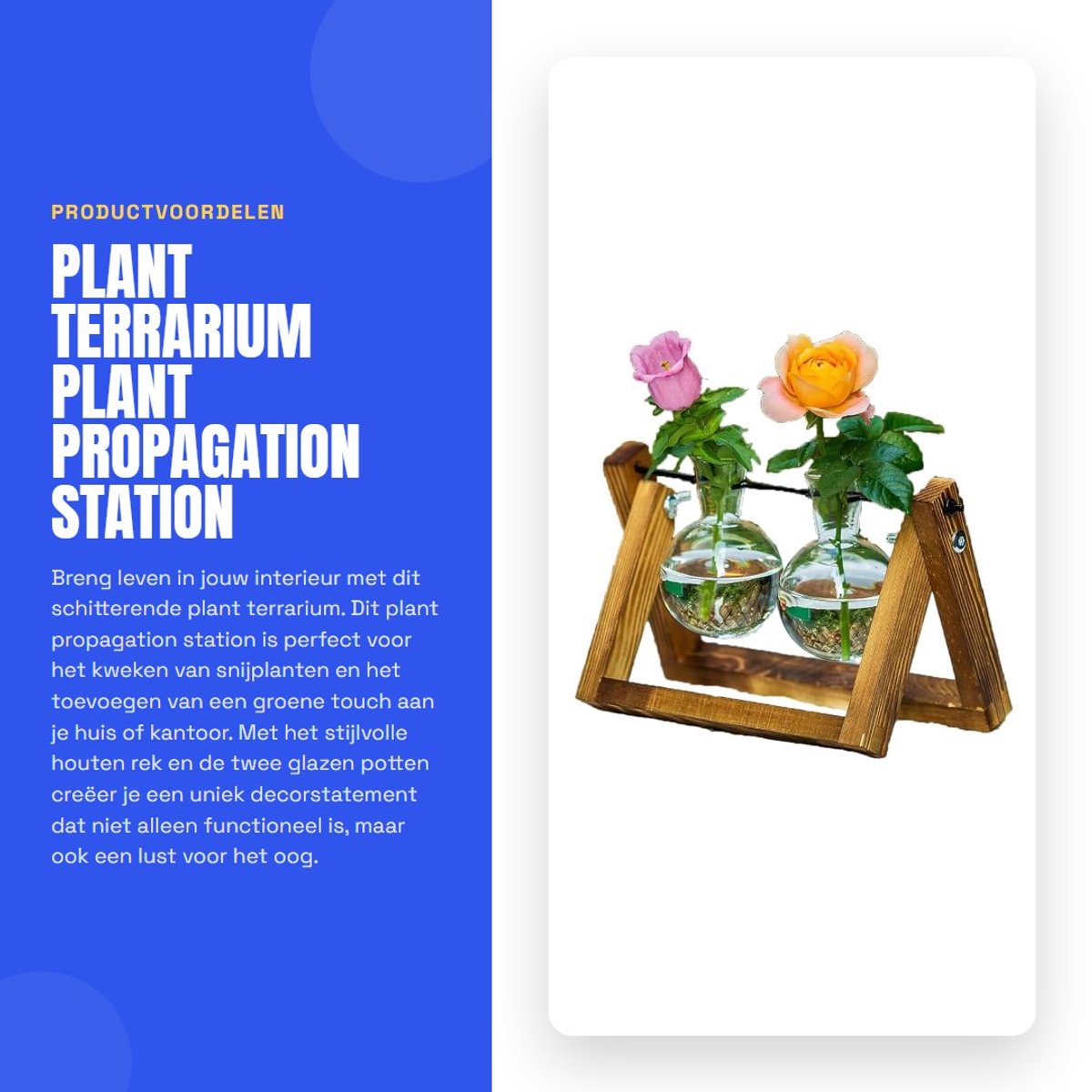 Dailygoods- Plantenstandaard met glazen potten - Houten rek - Hydrocultuur - Decoratie - Voor snijplanten en kamerplanten - Uniek decorstatement - Plantenhouder