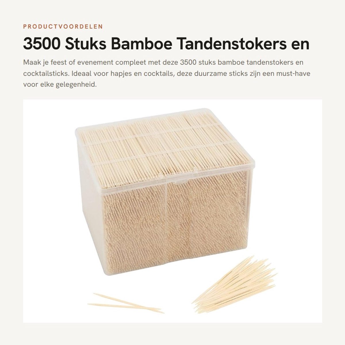 Dailygoods- Bamboe Tandenstokers 3500 Stuks - Houten Cocktailsticks - Dubbelzijdige Fruitcocktailplectrums - Draagbare Voorgerecht Sticks - Ideaal voor Vingerbuffet - Stevige Plastic Behuizing
