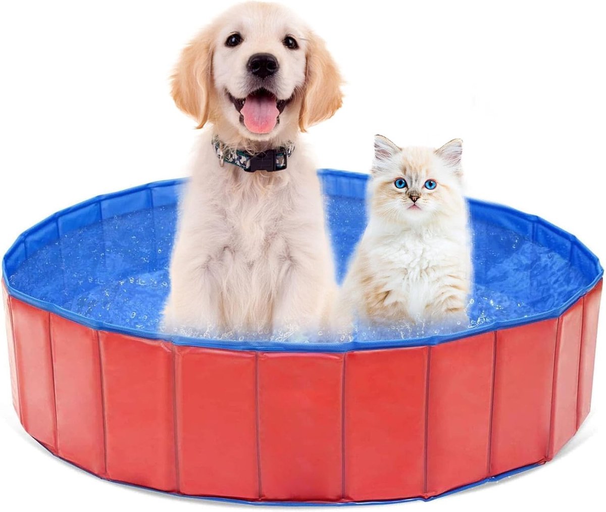Opvouwbaar Hondenbad voor Kleine Honden - 60 x 20 cm, PVC Zwembad, Dierenwater Speelmat, Ideaal voor Zomerplezier