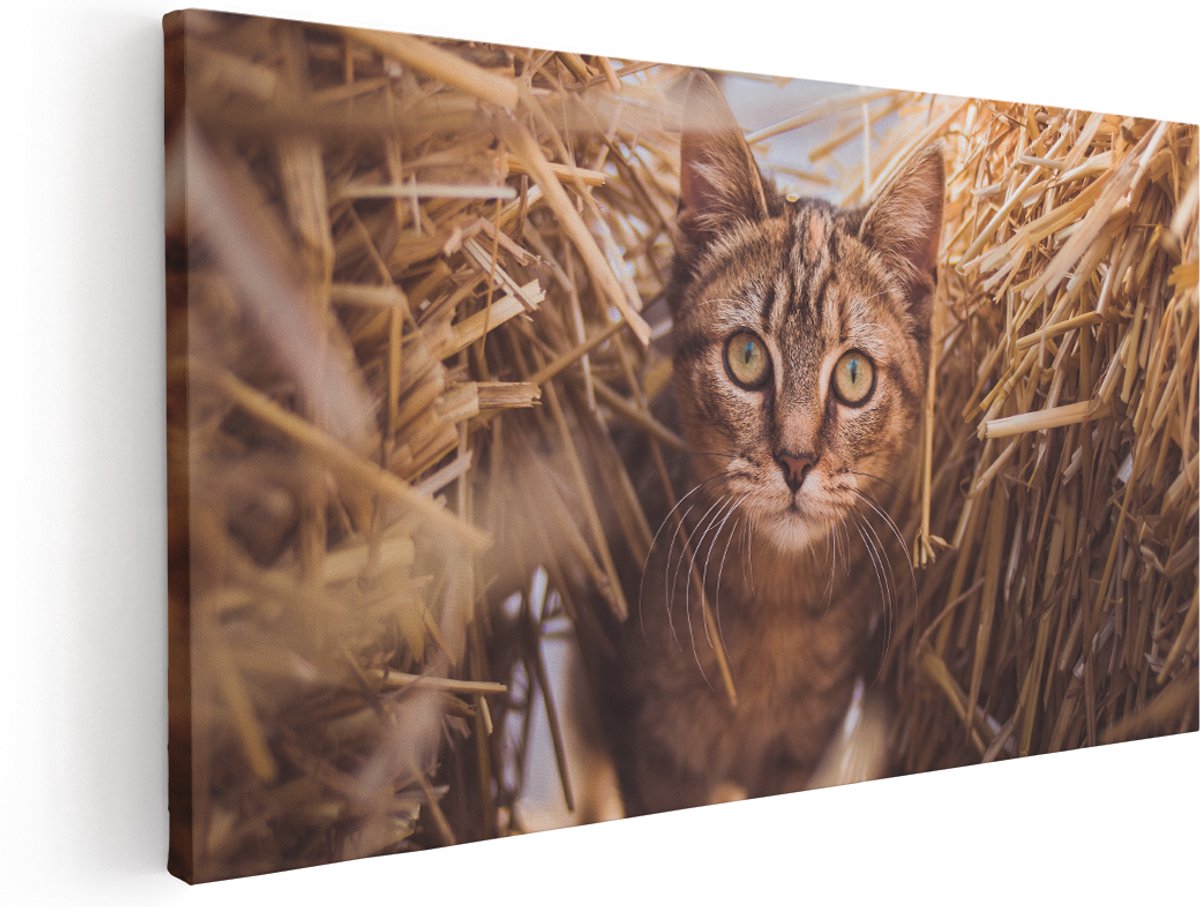 Artaza Canvas Schilderij Kat Tussen De Stro Balen - 140x70 cm - Groot - Wanddecoratie Woonkamer - Schilderijen - Muurdecoratie