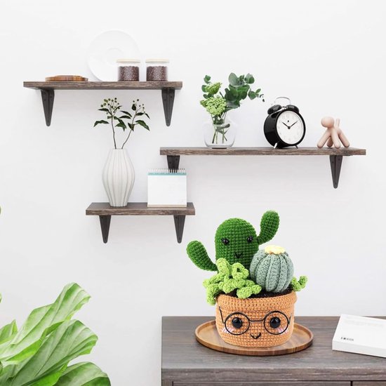 Haakset voor Beginners met Haakpatronen voor Planten, Cactus en Decoratieve Haakprojecten — afbeelding 4