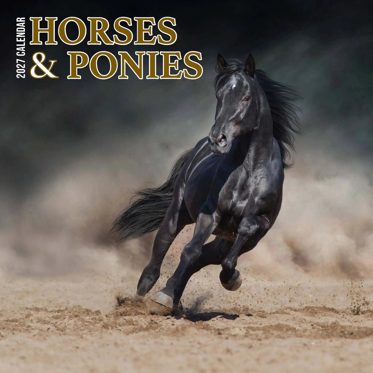 Paarden en Ponies Kalender 2027 Slimline