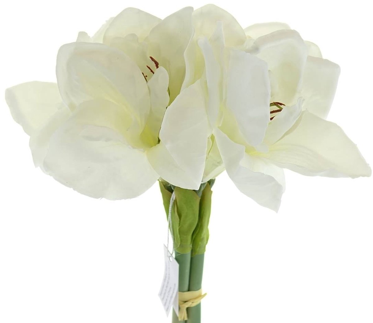 Gasper Amaryllis-ridderster wit 32 cm bundel van 3