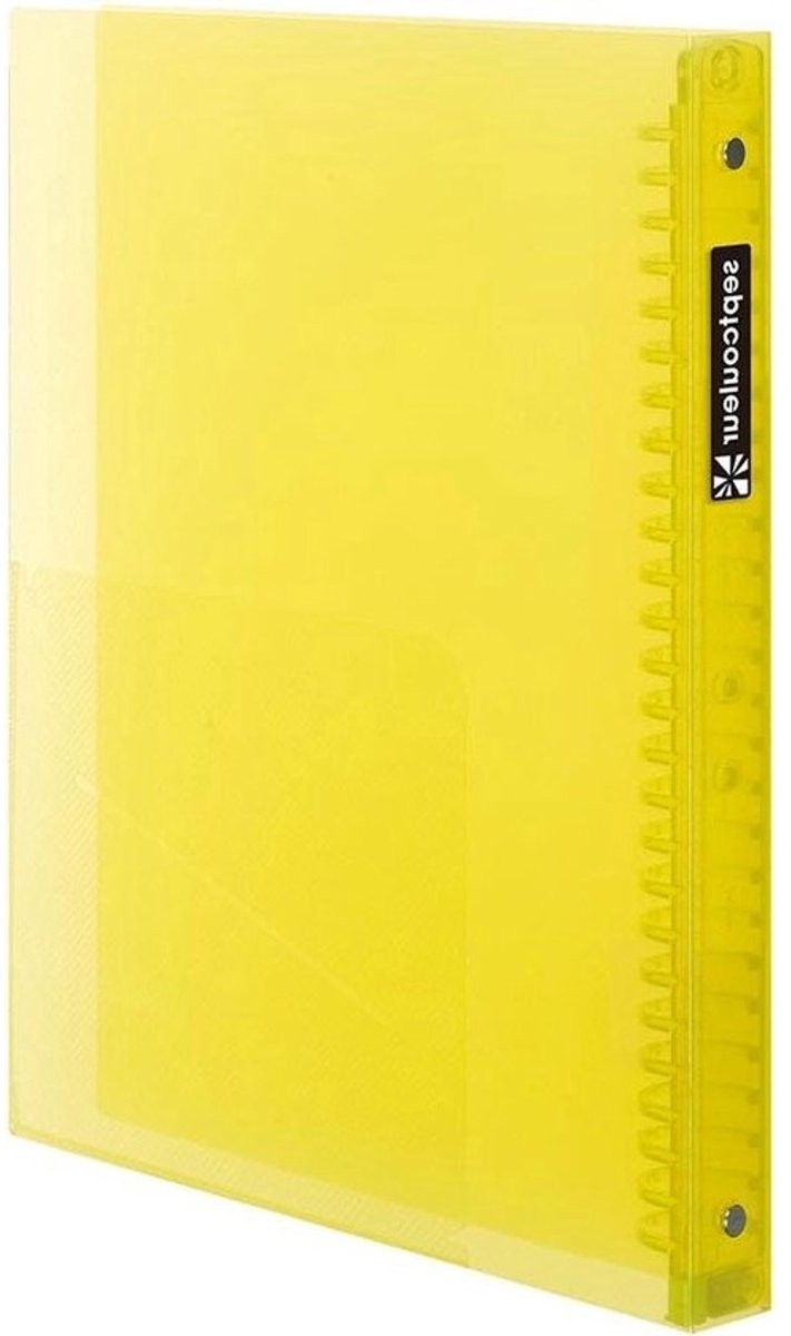 Ringmap B5 - Ringband Agenda - Notities Organiseren - 11 Kleur Verdelers - 120 Pagina's - Meerkleurig