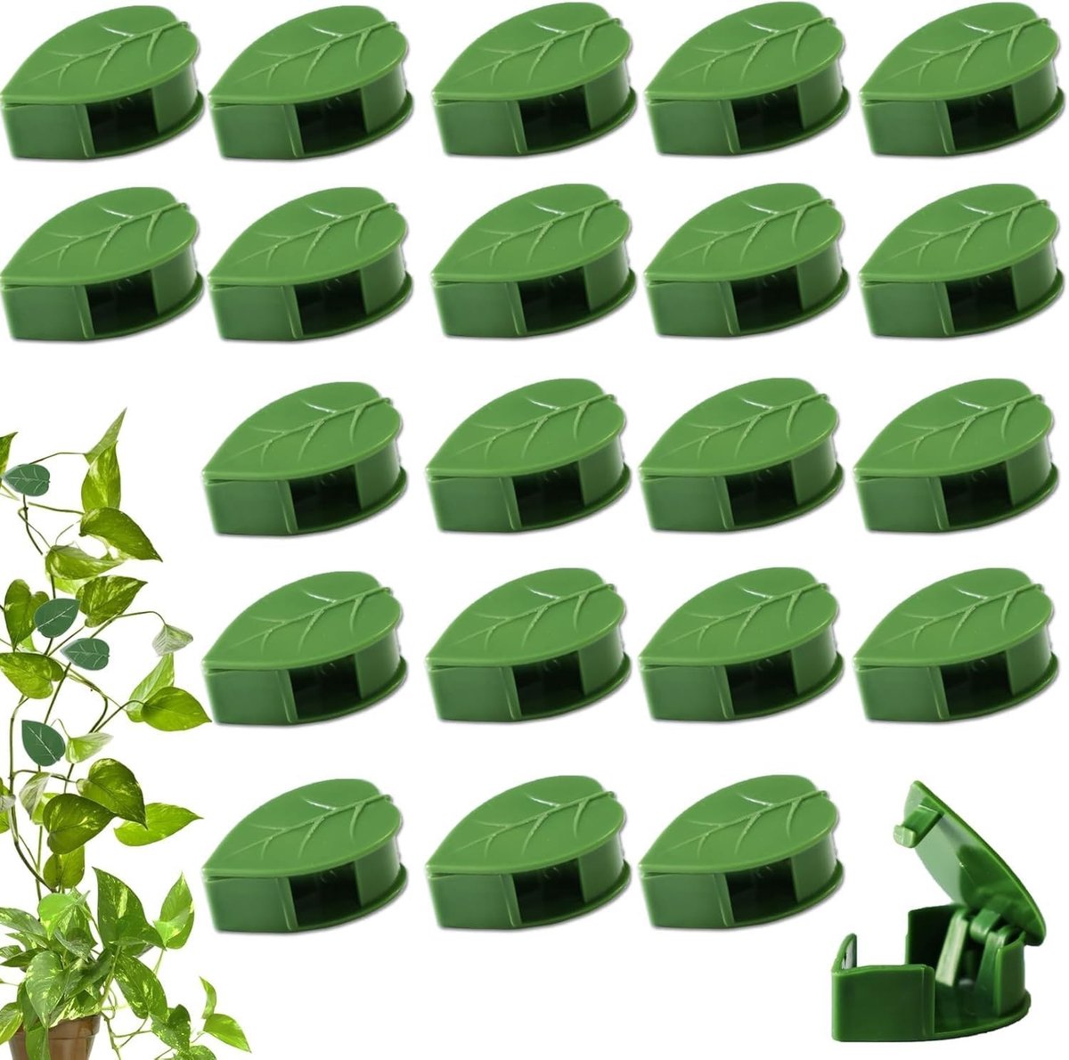 60 Stuks Wandplant Klemmen - Ondersteuning voor Klimplanten, Ideaal voor Binnen- en Buitentuinen, Balkon en Kamerplanten
