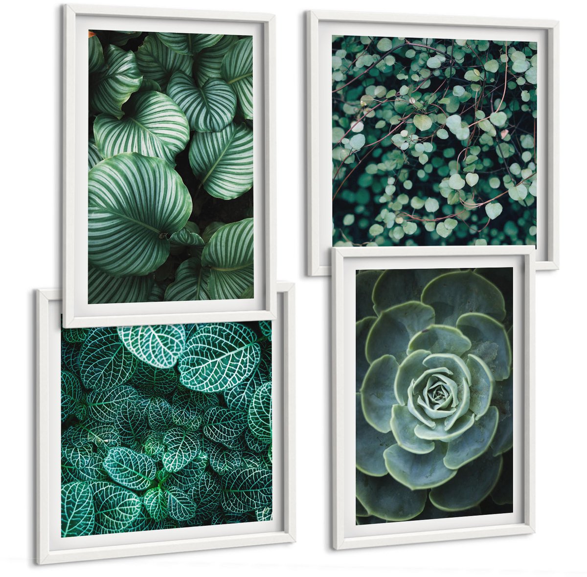 Wallfluent 4-Delige Schilderij Set - Groene Bladeren Van Vetplanten En Tere Takjes - 40 x 40 En 40 x 60 - Muurdecoratie - Decoratieve Schilderijen - Wohnzimmer - Stijlvolle Muurdecoratie