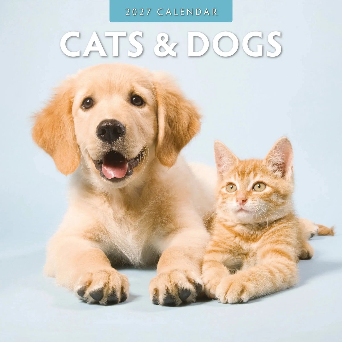 Cats and Dogs Kalender 2027