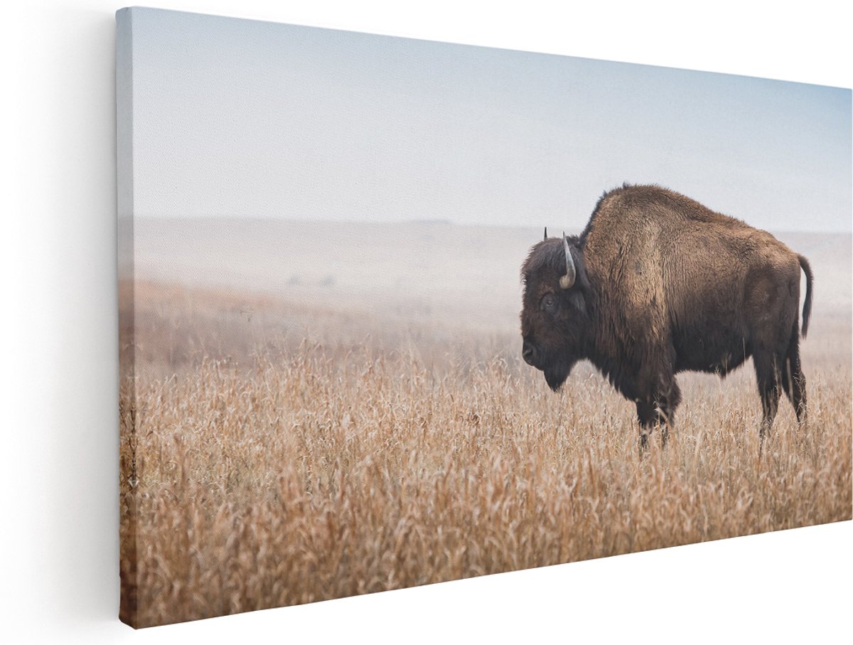Artaza Canvas Schilderij Bizon in het Gras - 180x90 cm - Groot - Wanddecoratie Woonkamer - Schilderijen - Muurdecoratie