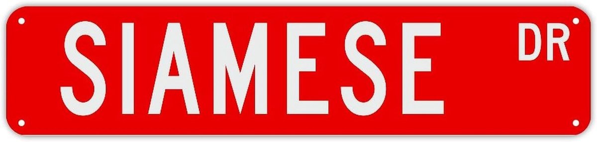 Gepersonaliseerd Naambord - Decoratief Bord - Huis Versieren - Op Maat Gemaakt - 45x10cm - Pewter