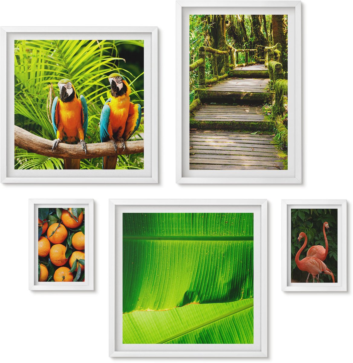 Wallfluent 5-Delige Schilderij Set - Tropische Natuurthema'S, Exotische Vruchten En Vogels - 50 x 50 cm, 20 x 30 cm En 40 x 60 cm - Schilderijen Set - Wanddecoratie - Woonkamer - Decoratieve Schilderijen