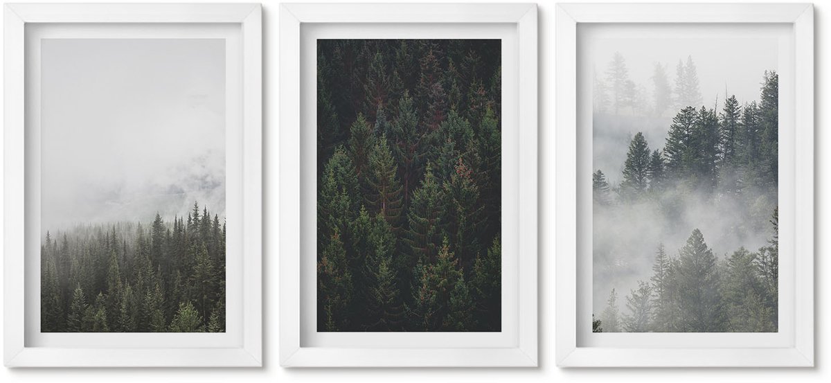 Wallfluent 3-Delige Schilderij Set - Groene Bossen In Een Mistige Natuurlijke Omgeving - 20 x 30 - Stijlvolle Wanddecoratie - Interieur - Muurdecoratie