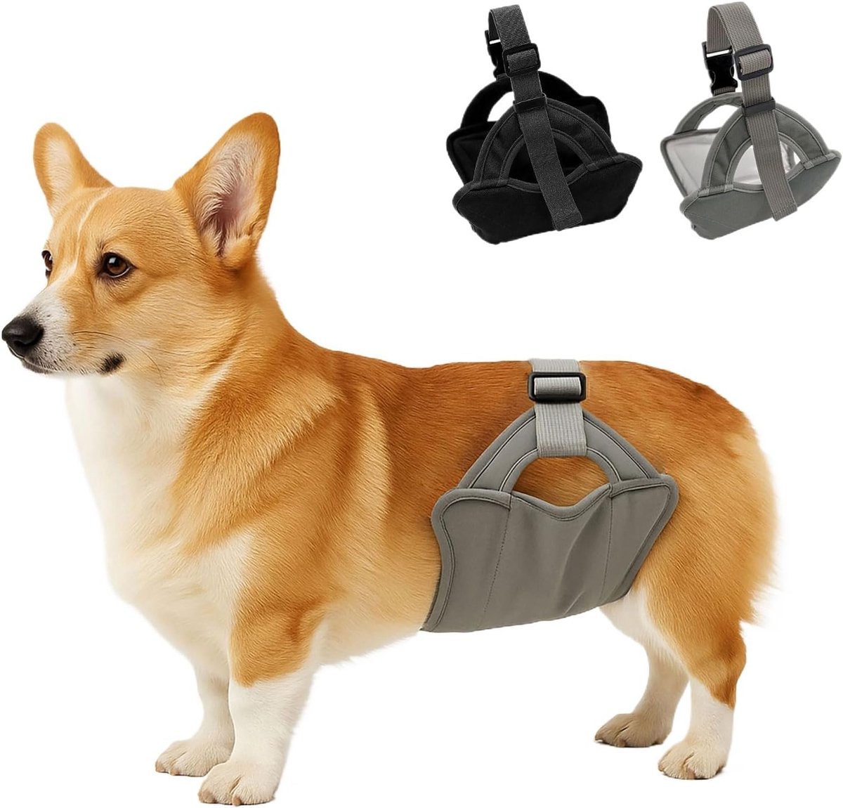 Dog Diapers Dog Diapers, 2 Pack Washable Male Belly Band with Minimalist Narrow Leash, Pee Wraps for Dogs for - ShopVlot