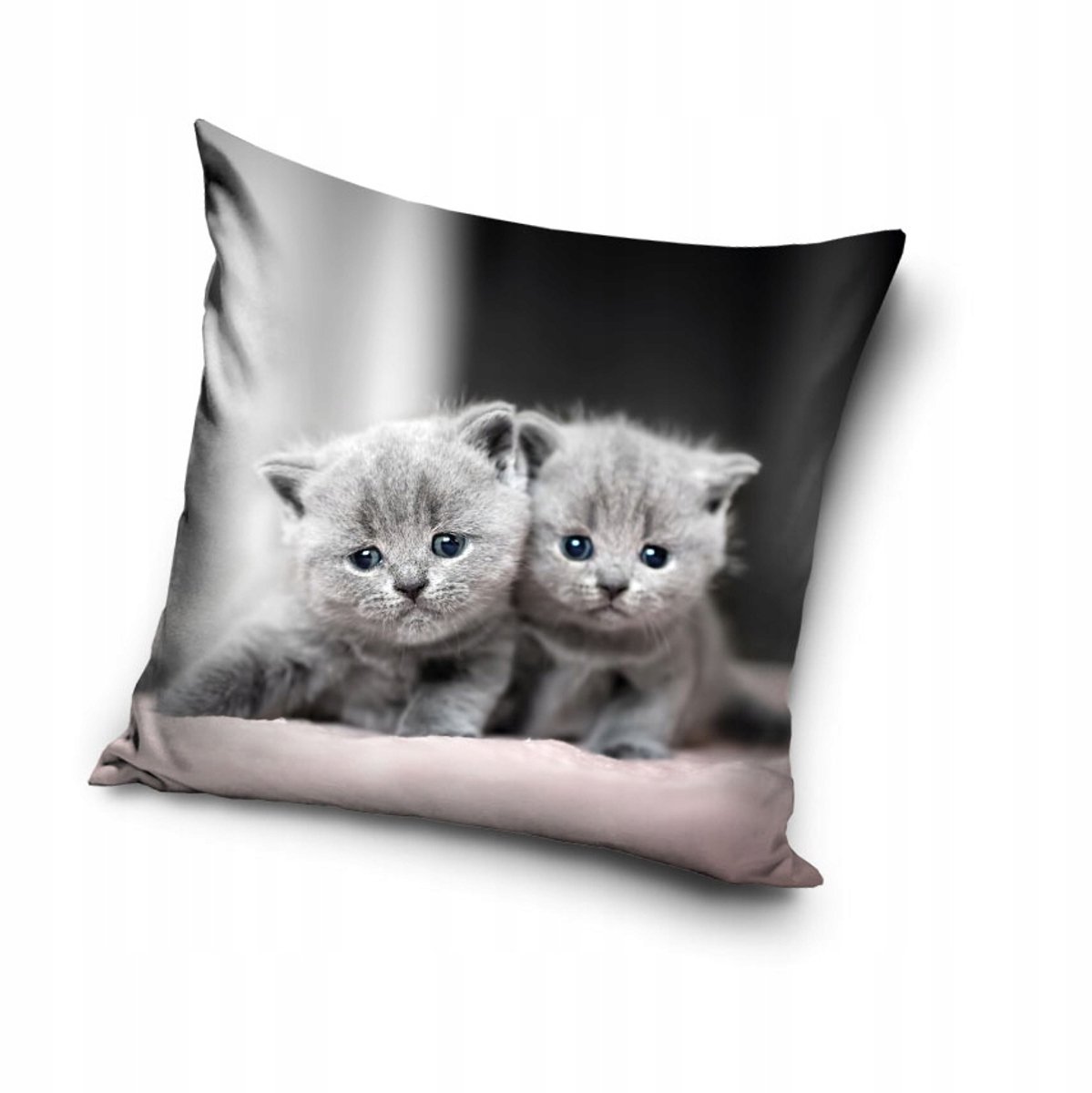 Decoratieve Kussenhoes Katjes 40x40 cm - Zachte Polyester met Rits
