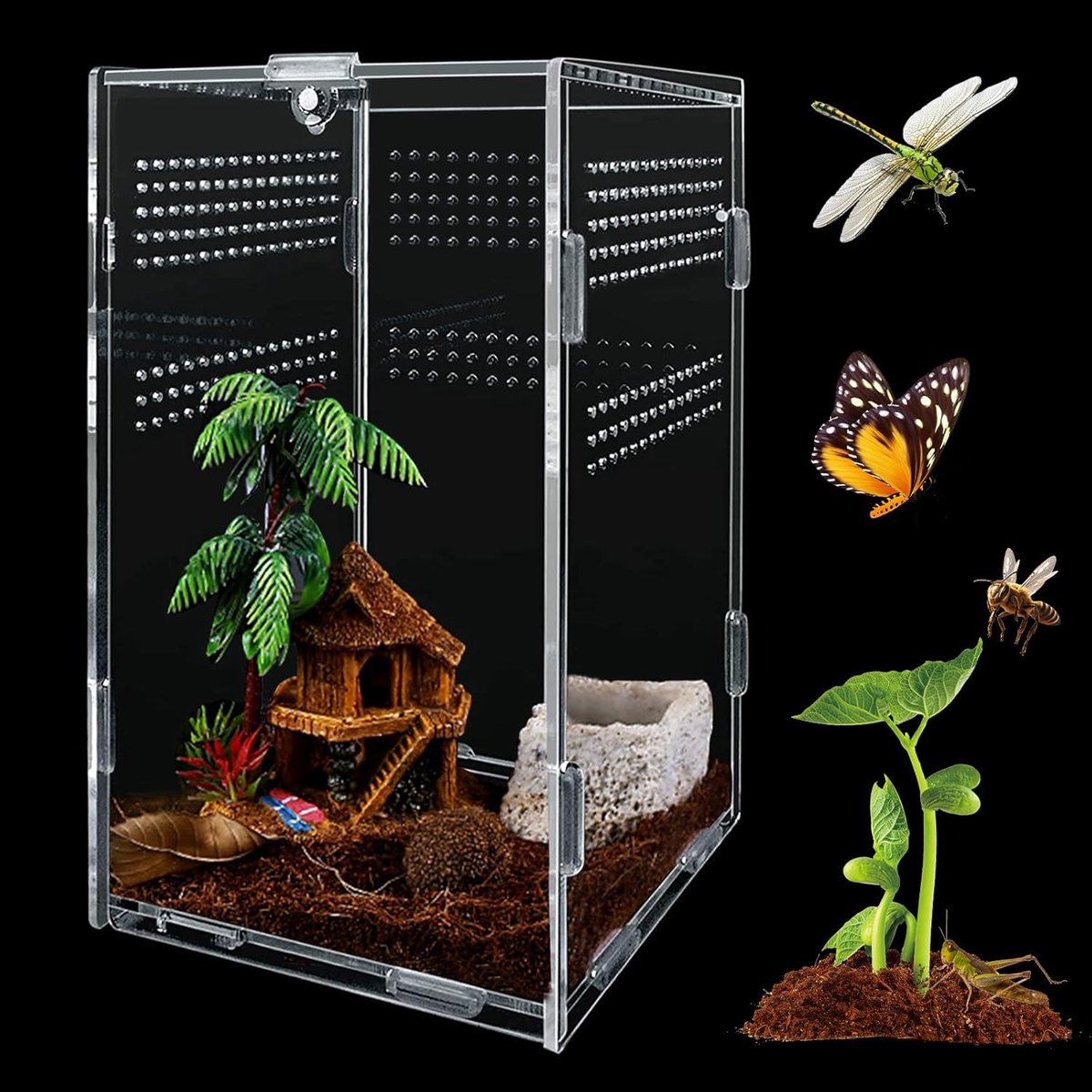 Insect Feeder Box Transparent Acrylic Reptile Breeding Box 12 x 12 x 20 cm Container for Lizard, Spider, Scorpion - ShopVlot
