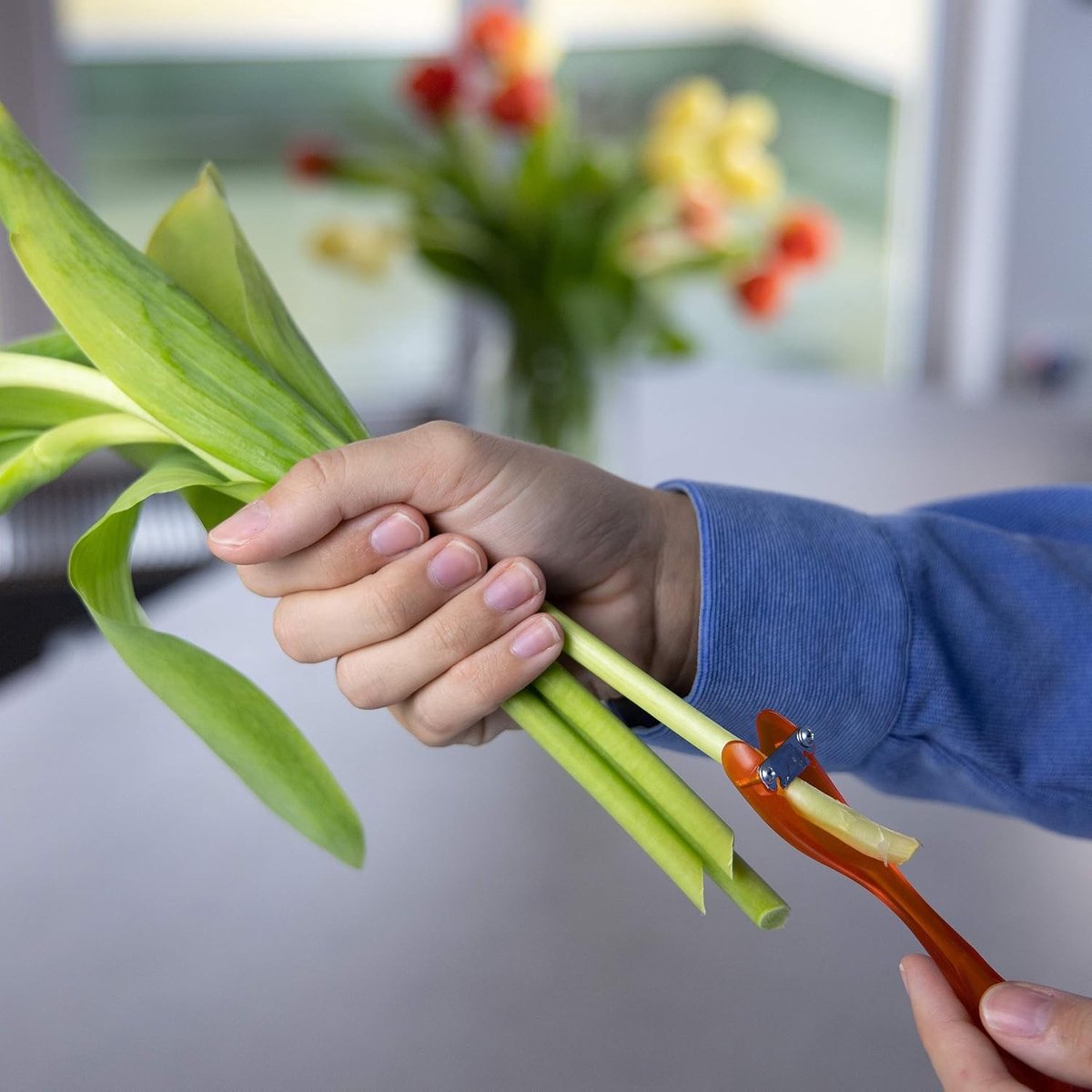 Knipschaar tuin - Turquoise - Zelfreinigend roestvrijstalen lemmet - Tweehandig voor bloemenverzorging