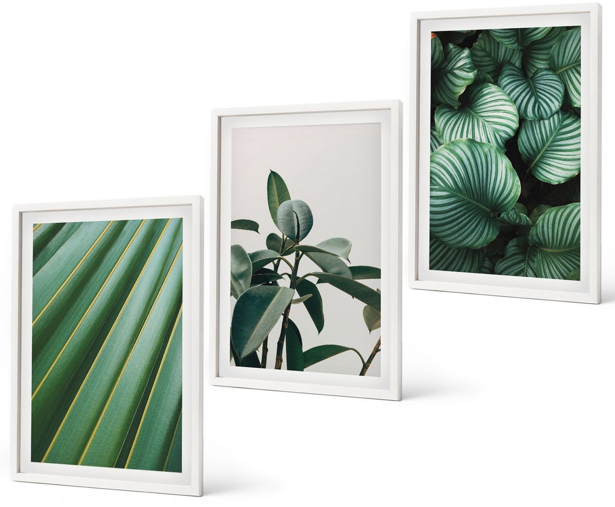 Coloray 3-Delige Schilderij Set - Esthetische Tropische Bladeren In Diverse Groene Tinten - 40 x 60 - Muurdecoratie - Decoratieve Schilderijen - Wohnzimmer - Stijlvolle Muurdecoratie