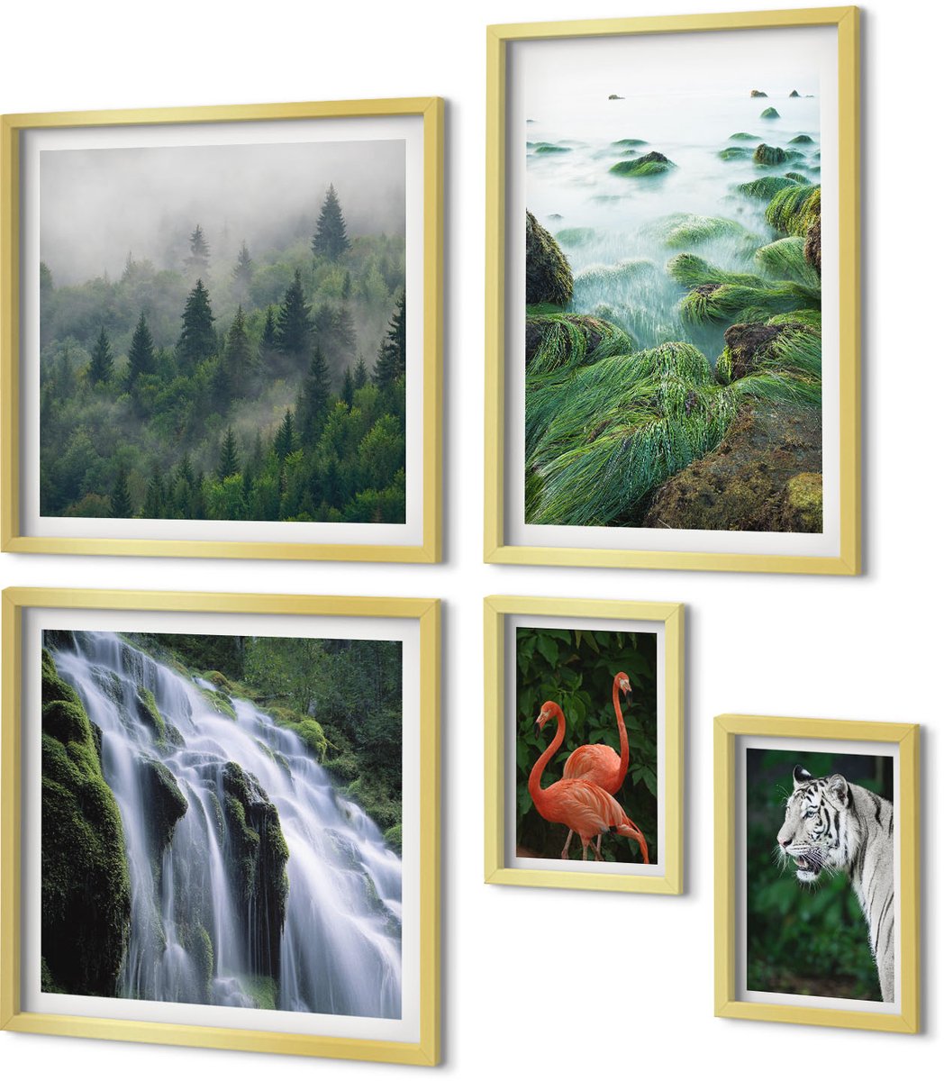 Coloray 5-Delige Schilderij Set - De Natuur In Haar Diverse Vormen, Met Wilde Dieren En Landschappen. - 50 x 50 cm, 20 x 30 cm En 40 x 60 cm - Decoratieve Schilderijen - Wanddecoratie - Hal - Muurdecoratie
