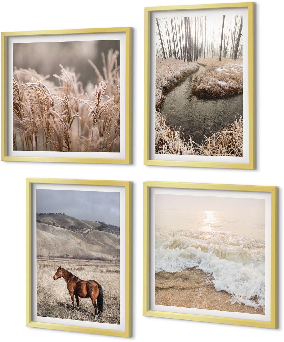 Coloray 4-Delige Schilderij Set - Paardenlandschap van zeegrasbos en beek - 40 x 40 cm en 40 x 60 cm - Muurdecoratie - Schilderijen Set - Woonkamer - Decoratieve Schilderijen