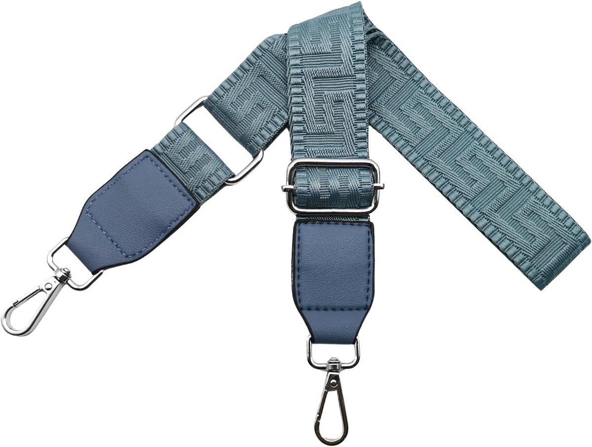 Schouderriem voor tas, tasriemen om te wisselen, verstelbare tasriem, breed 3,8 cm, met leer, zilveren karabijnhaak, tassenband, schouderriem voor dames, handtassen, lichtblauw, T13