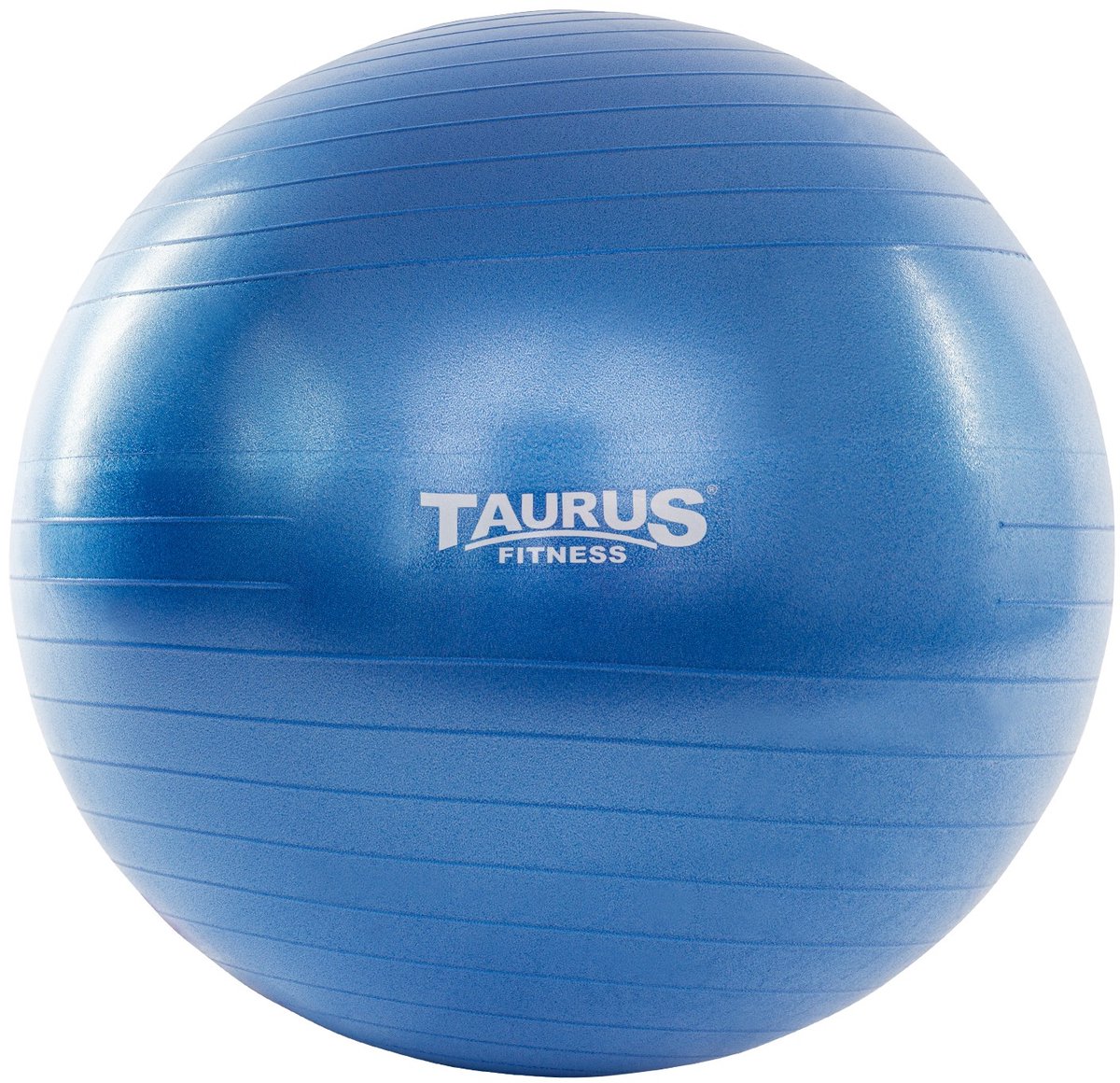 Taurus Gym Bal anti-burst 65 cm