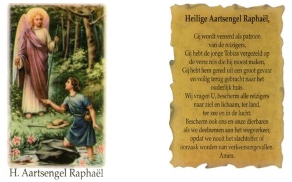 Noveenkaars Wit H.raphael 24