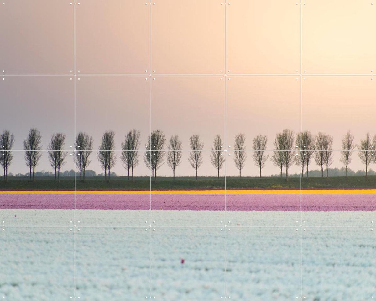 IXXI Lines of Silence, Claire Droppert - 100 x 80 cm - Gratis ophangtool - Grote wanddecoratie en posters - Fotografie, Woonkamer, Gang, Eetkamer
