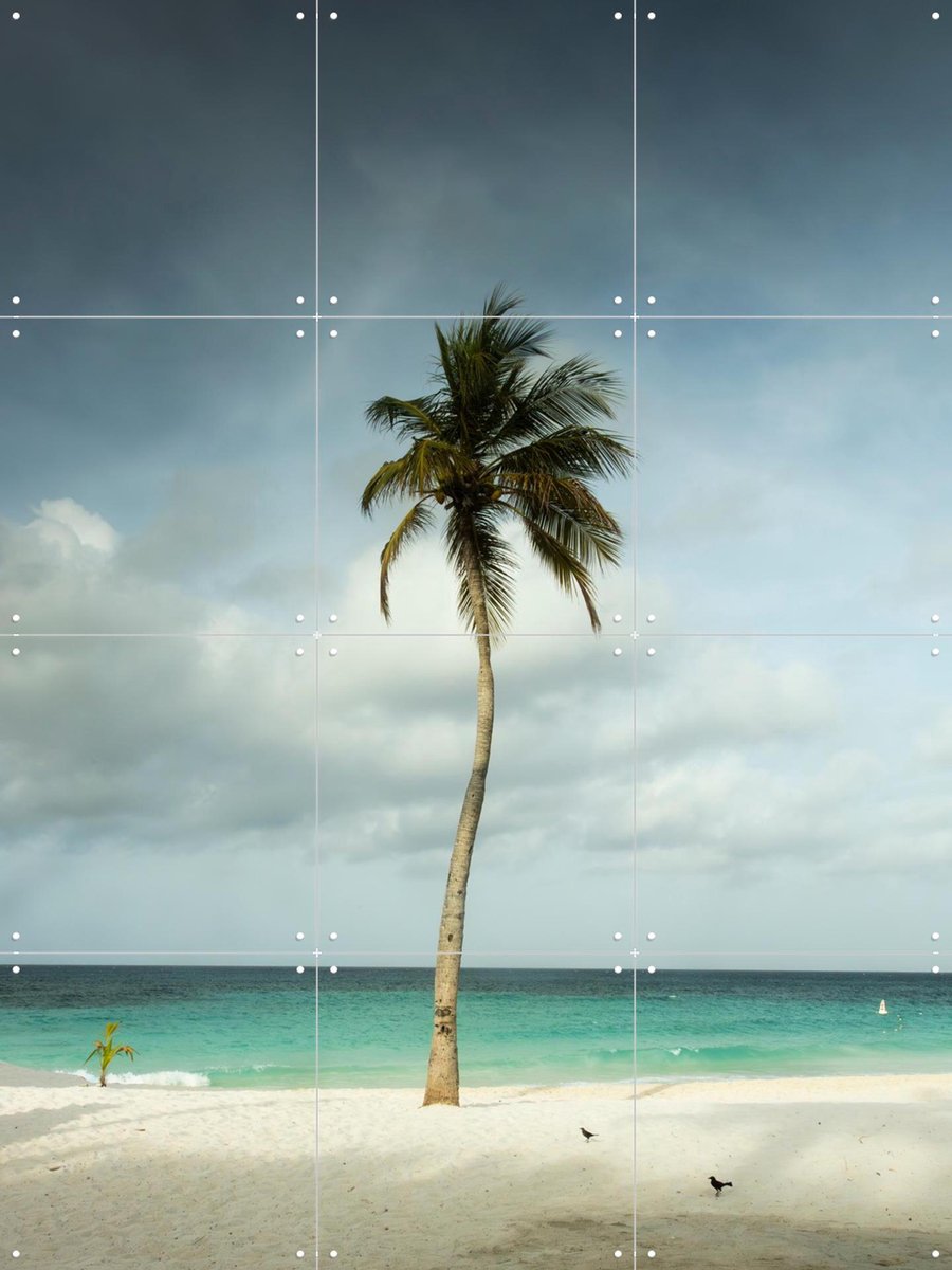 IXXI Whispering Palm Above The Caribbean Silence, Claire Droppert - 60 x 80 cm - Gratis ophangtool - Grote wanddecoratie en posters - Fotografie