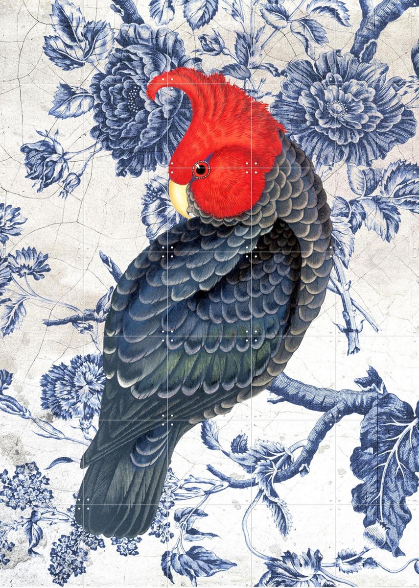 IXXI Chinoiserie Cockatoo, Marja van den Hurk - 100 x 140 cm - Gratis ophangtool - Grote wanddecoratie en posters Woonkamer, Gang, Eetkamer, Vogels