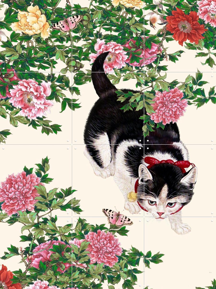 IXXI Butterflies, Be Aware, Marja van den Hurk - 60 x 80 cm - Gratis ophangtool - Grote wanddecoratie en posters - Vintage, Illustraties, Gang, Kat