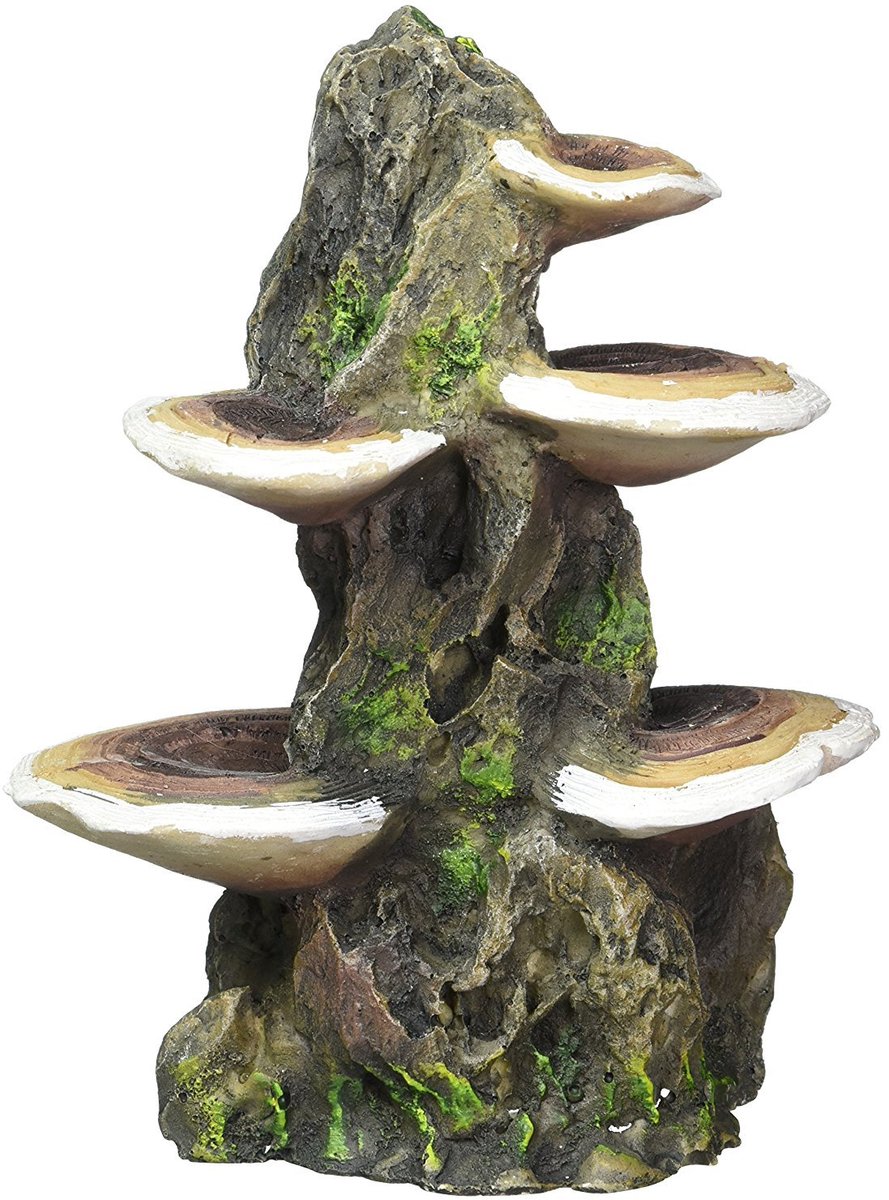 Deco-Replicas Boomstam met plank, paddenstoelen, aquariumdecoratie, veilig voor zoet- en zoutwateraquaria, middelgroot