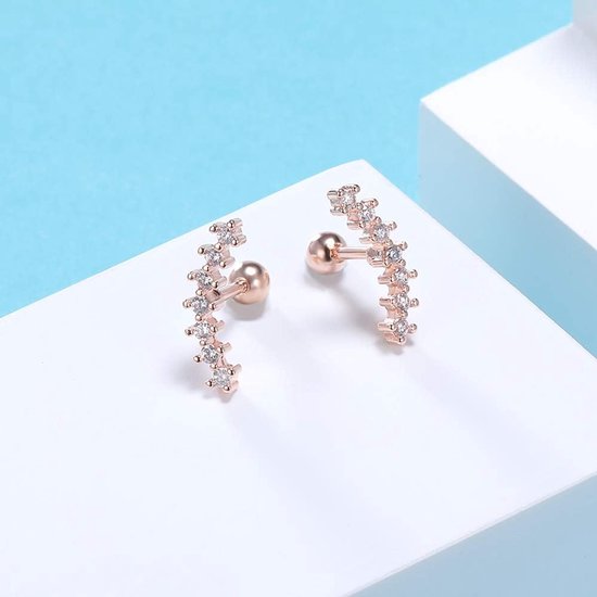 Seven Stud CZ Stud Oorbellen 316L Rvs Oor Helix Conch Kraakbeen Piercing, Roestvrij staal Zirkonia — afbeelding 5