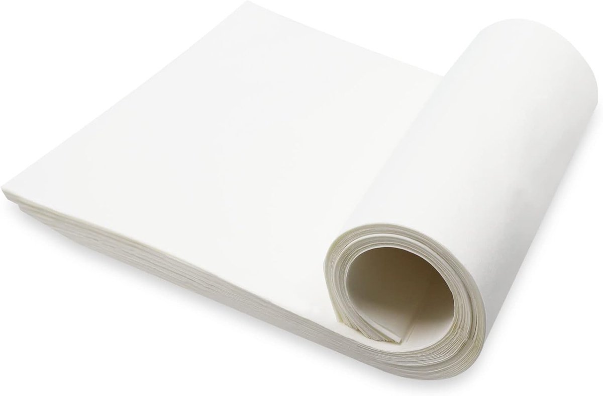 blanco Xuan-papier onbewerkt, kalligrafie penseel inkt schrijven Sumi
